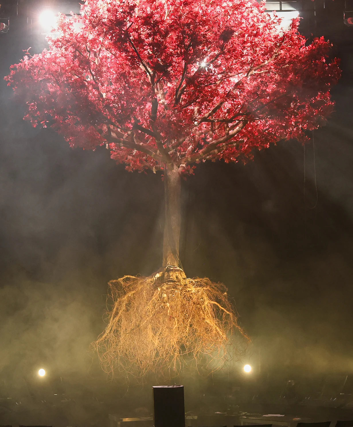 L’arbre de REMAINS, une installation de branches et de feuillages rouges dans l’obscurité